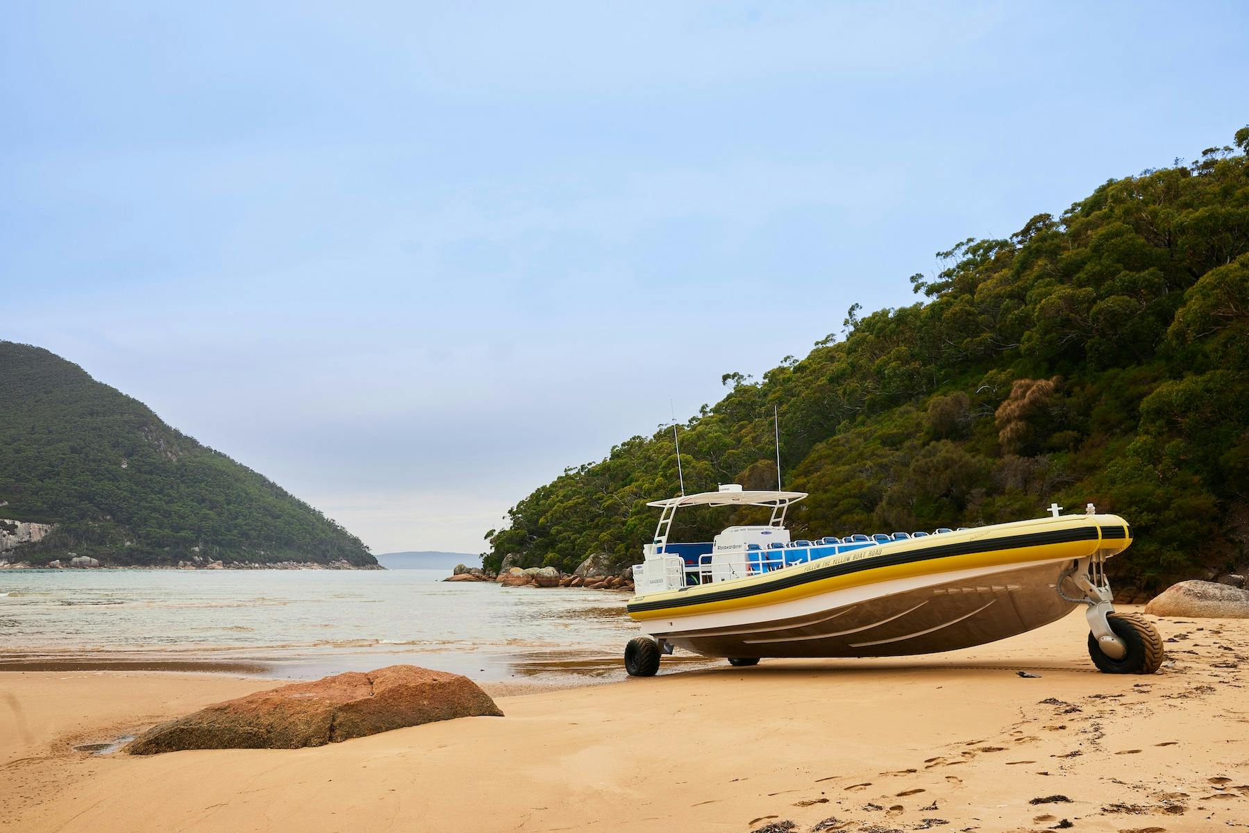 Amphibious boats