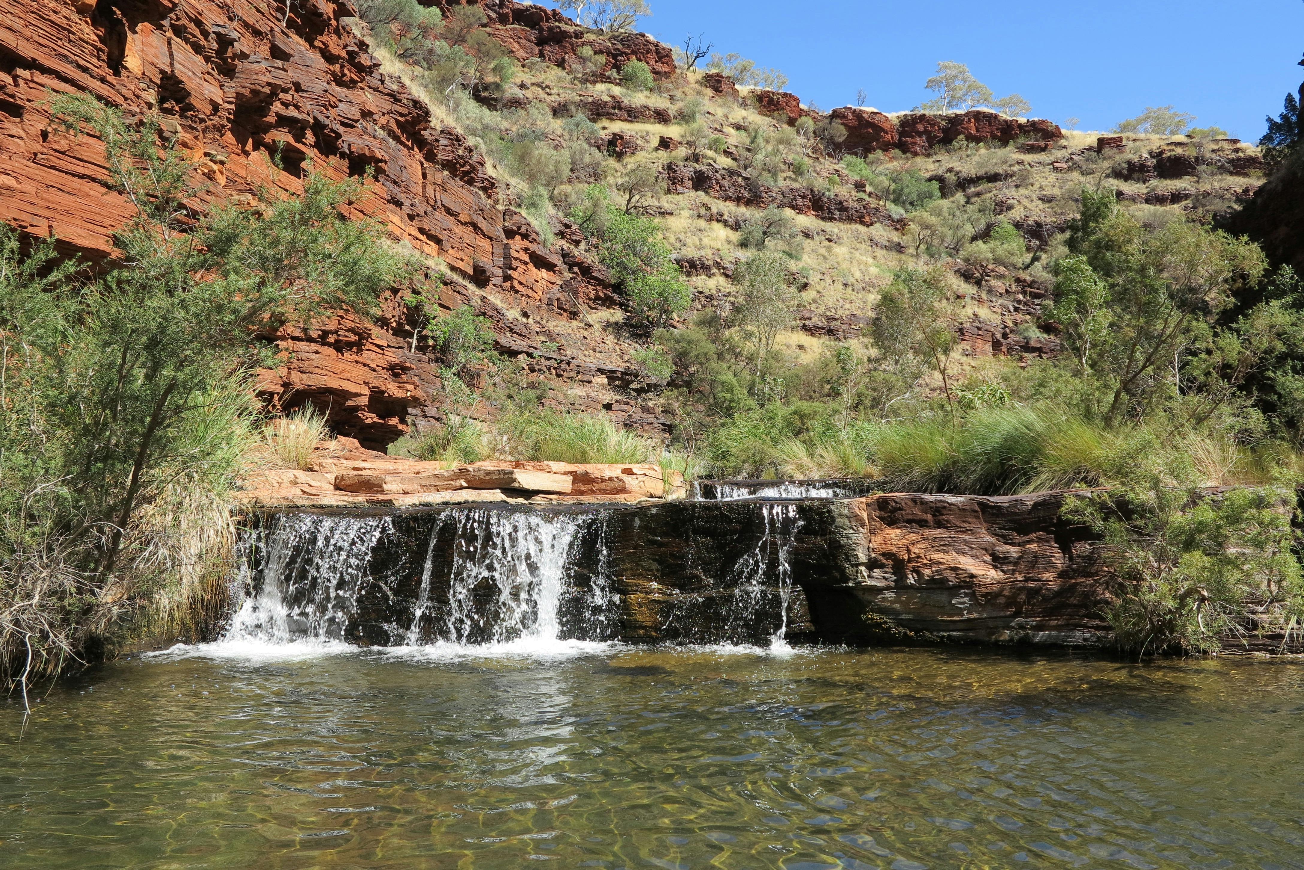 Coates Wildlife Tours, Canning Vale, Western Australia