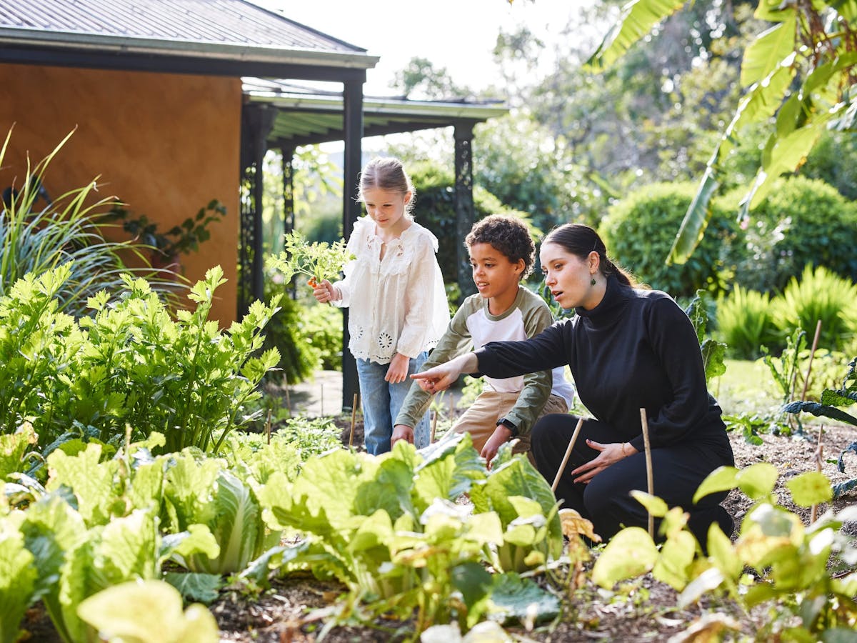 Visitors in the Elizabeth Farm garden during the school holidays