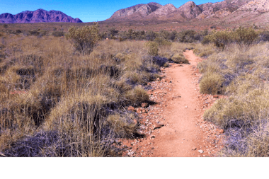 Walk & Waterhole - Ormiston Pound & Gorge