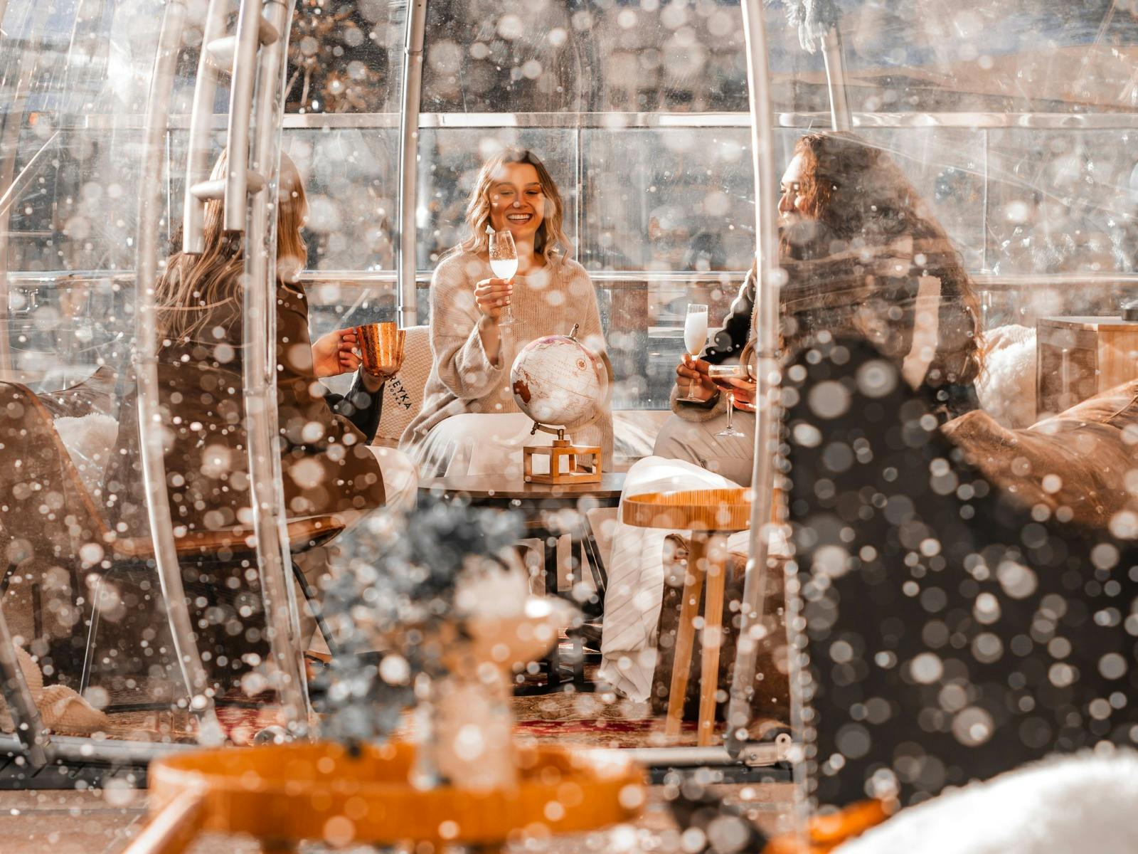 Winter Dome