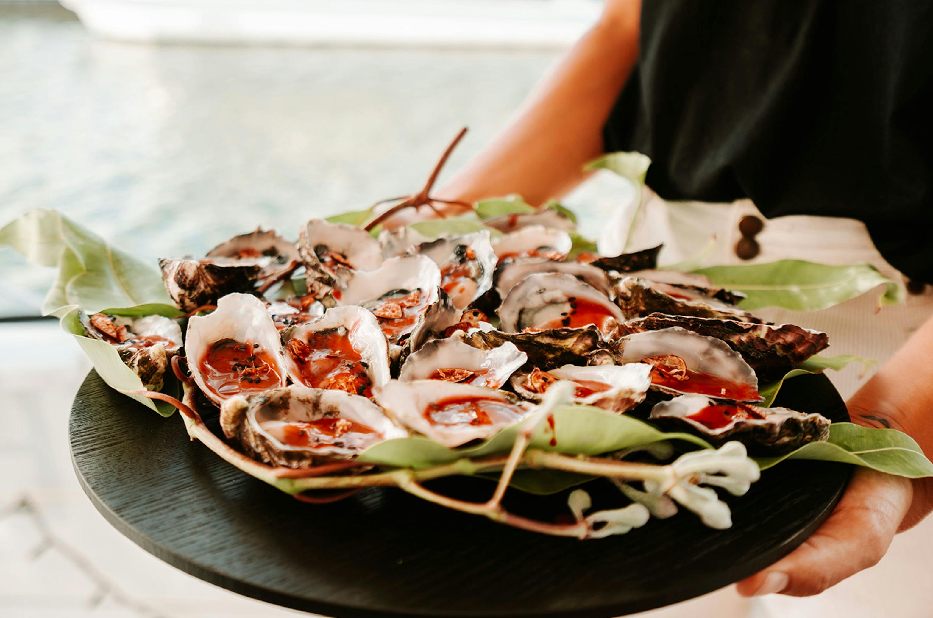Coffin Bay Oysters Bushtucker Cruise Saltwater Eco Tours