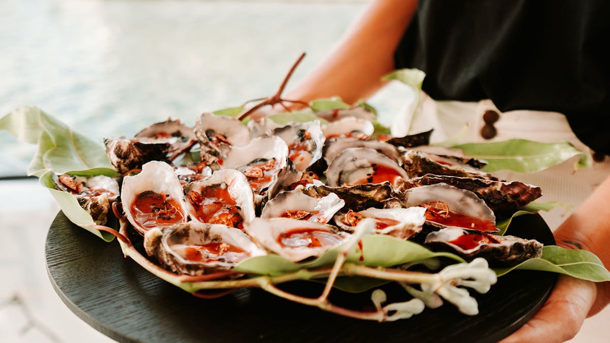 Coffin Bay Oysters Bushtucker Cruise Saltwater Eco Tours