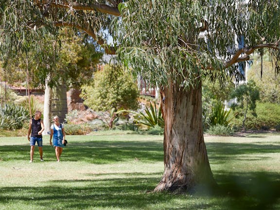 National Eucalypt Day