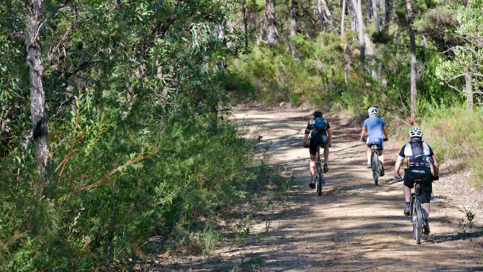 Andersons Trail