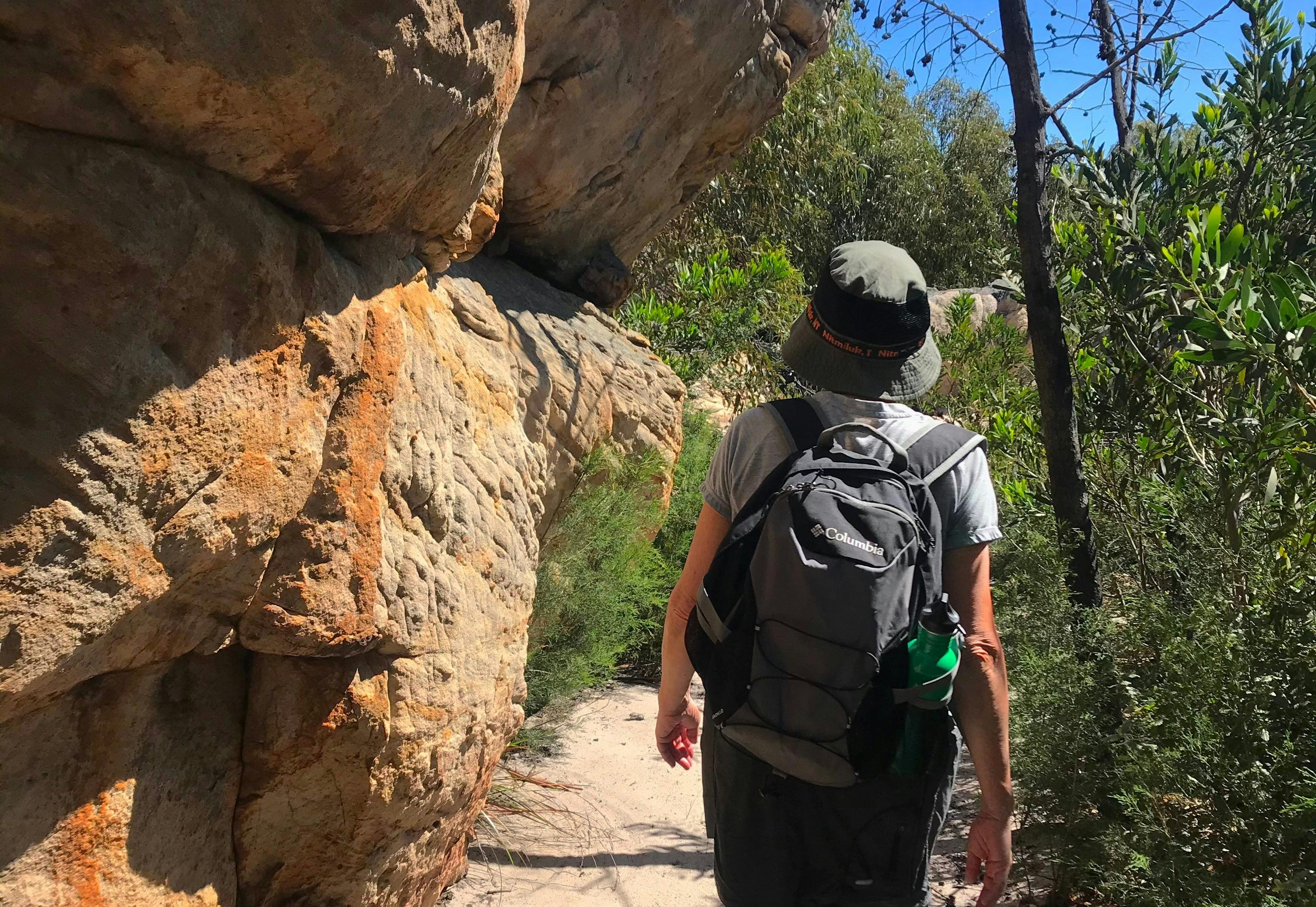 Walking through diverse terrain