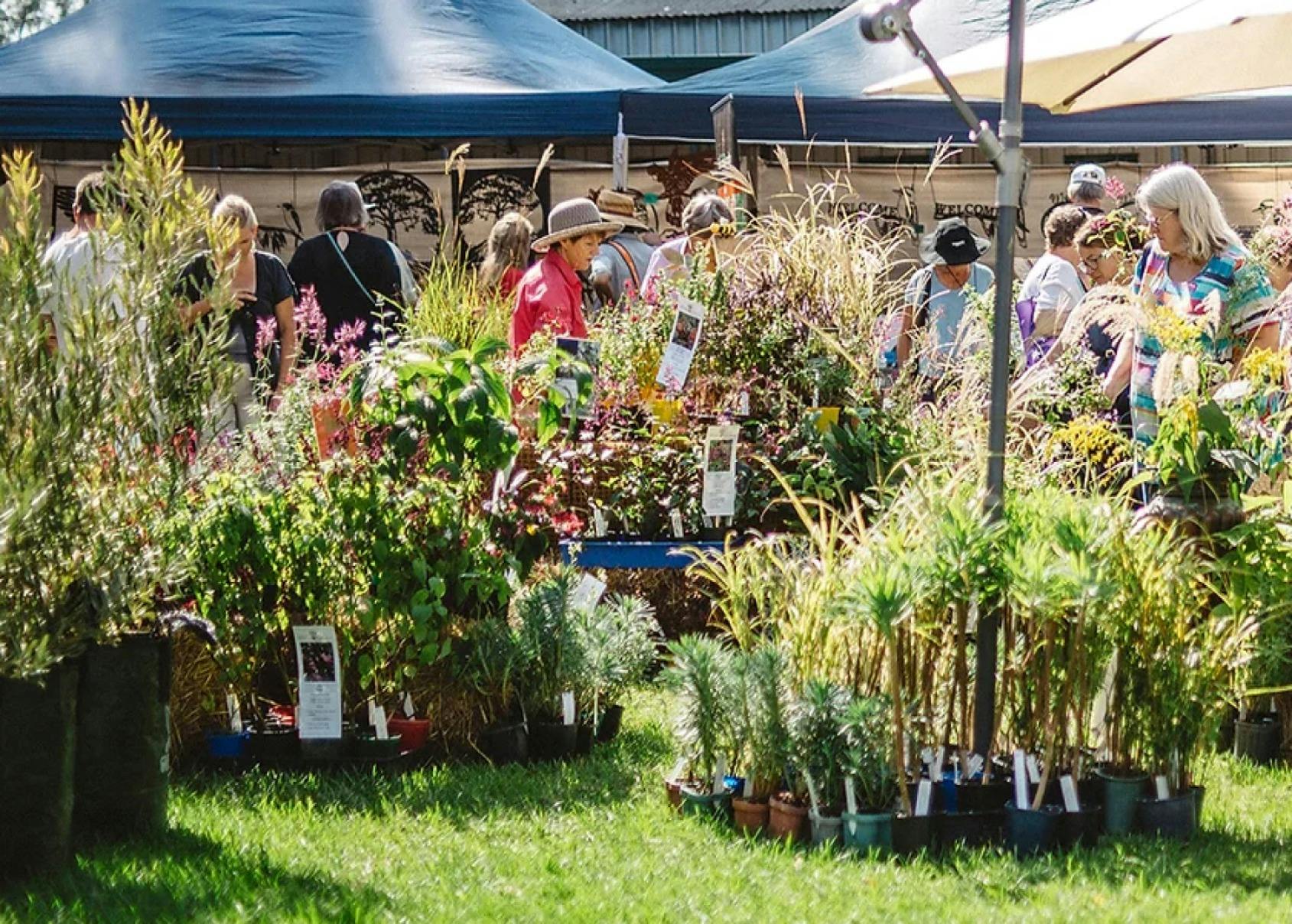 Plant Fair