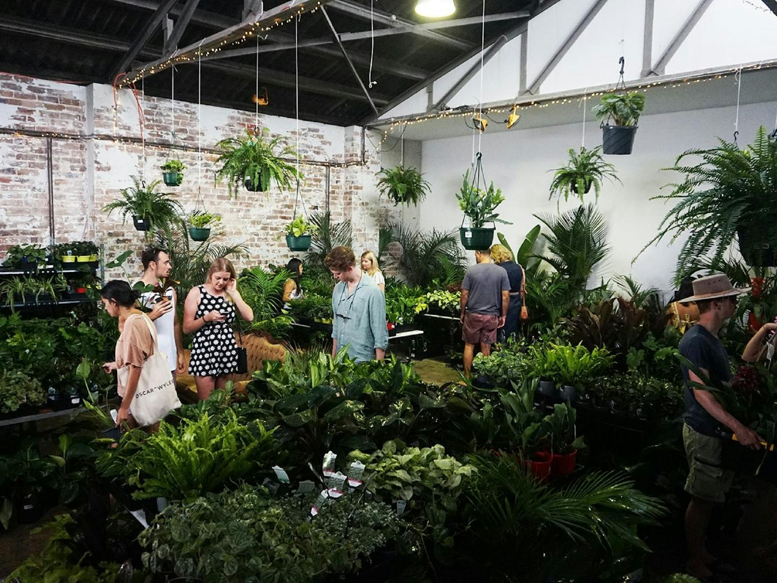 Image for Sydney - Huge Indoor Plant Warehouse Sale - House Warming