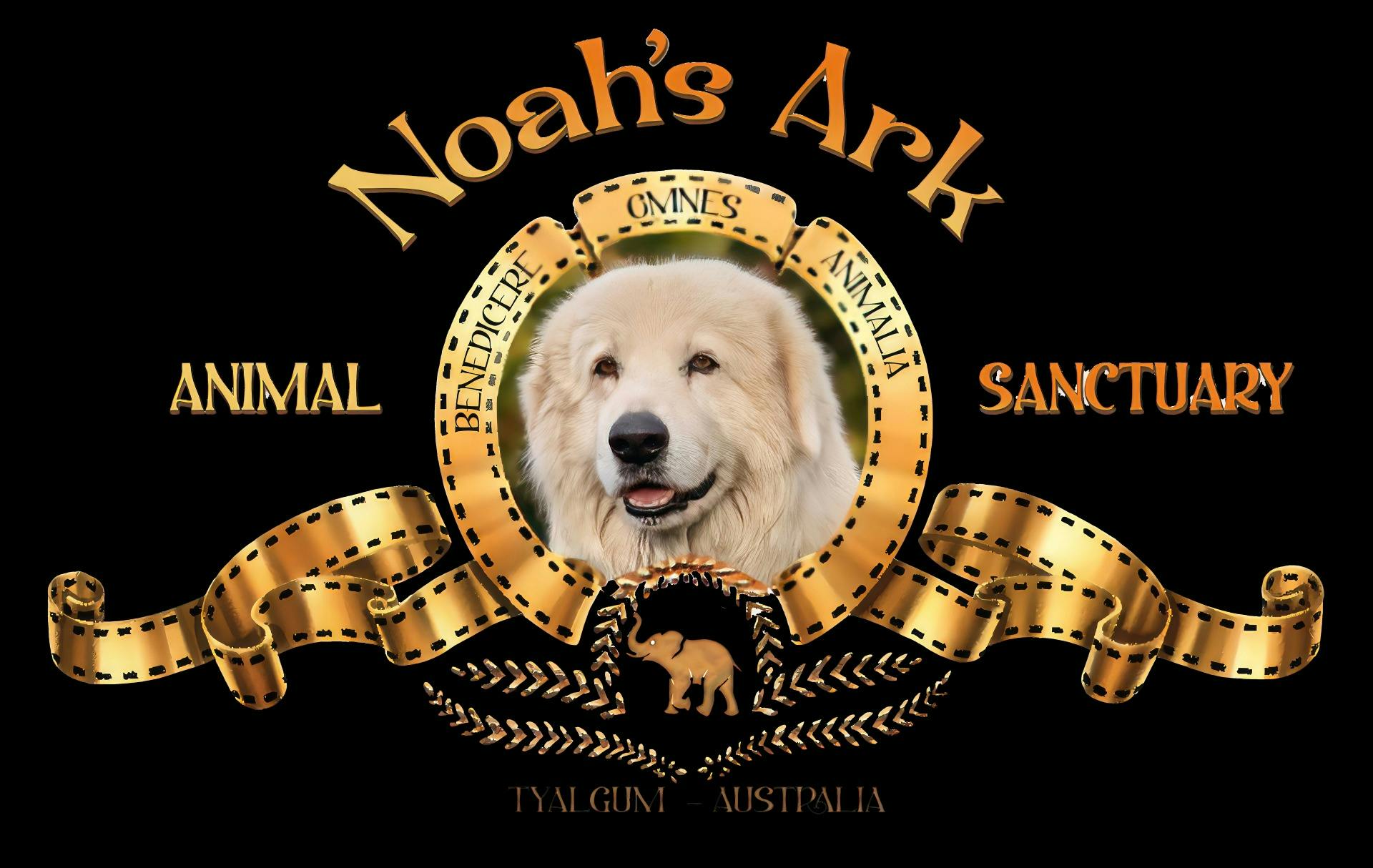 Noahs Ark Animal Sanctuary NSW Holidays Accommodation Things To Do   Bfb5f9414e85d1894d4c7a778861b30a 