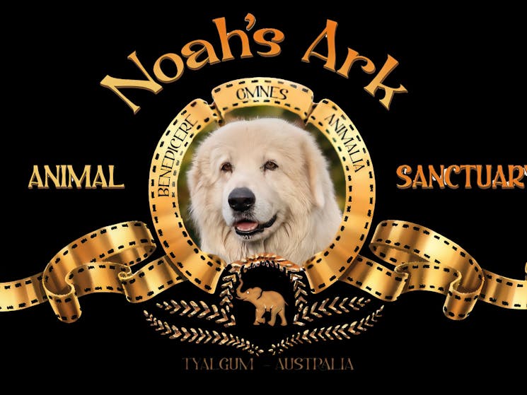Logo Noah's Ark featuring Angelo the Maremma