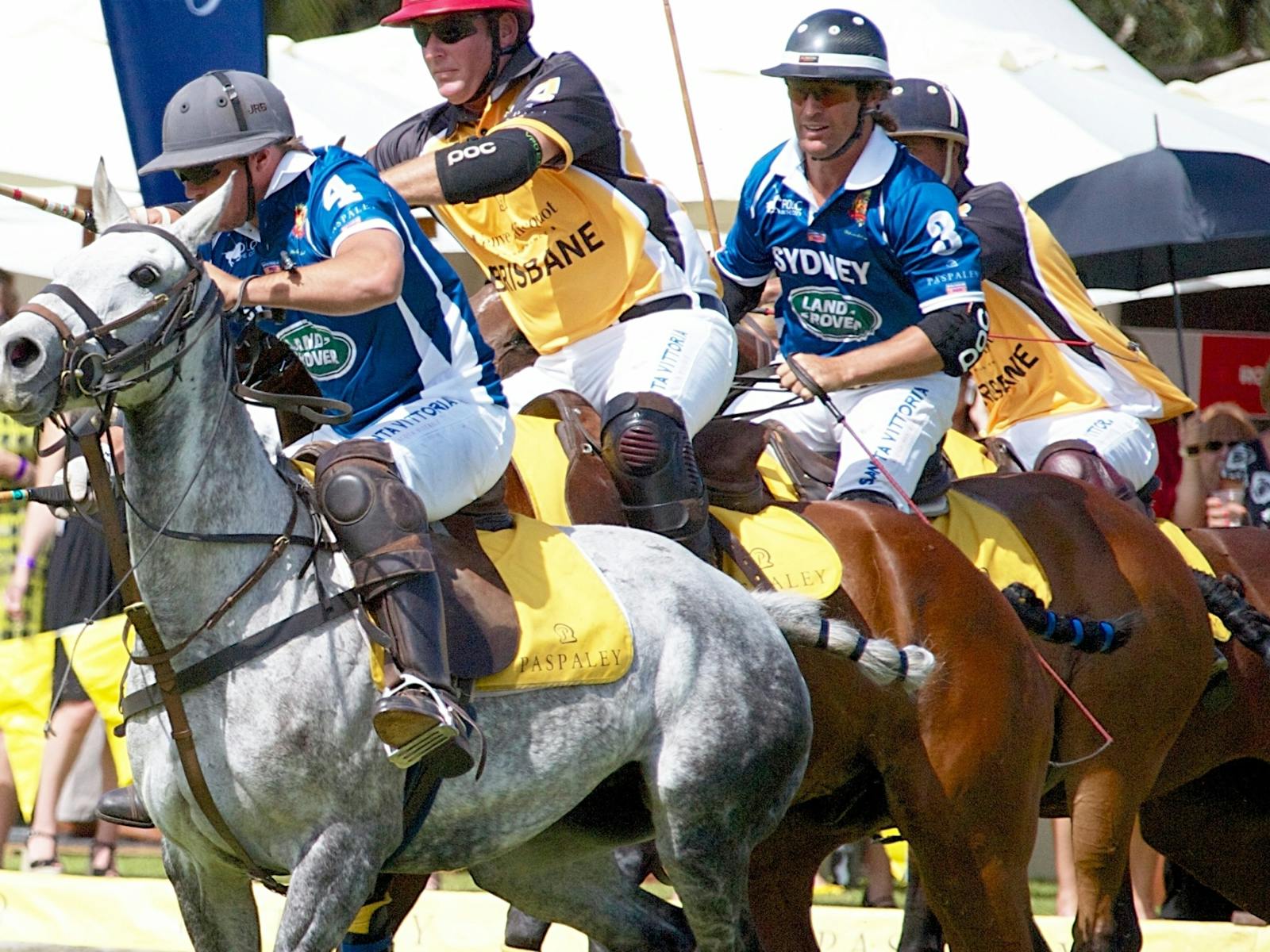 Image for Land Rover Polo in the City Brisbane