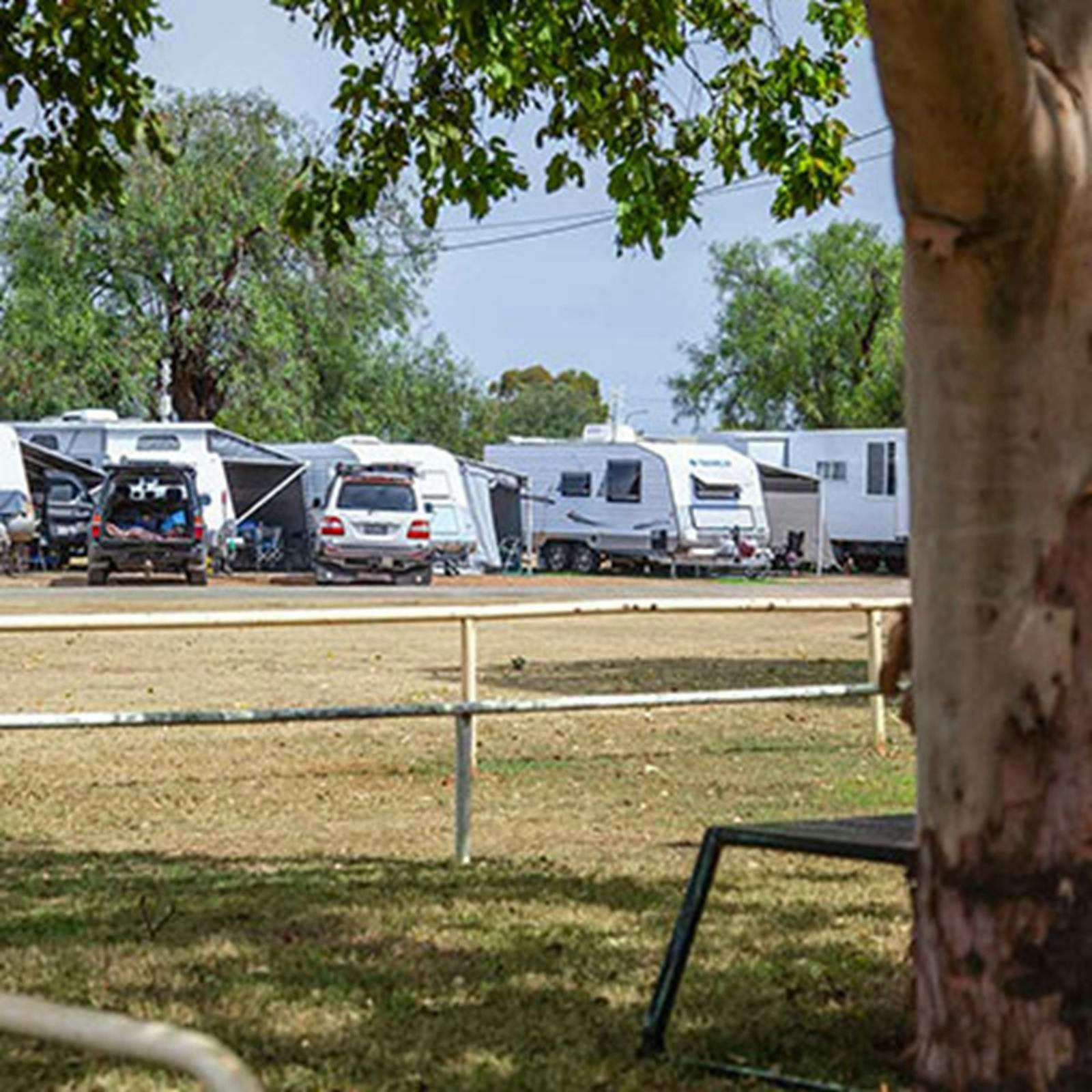 Paceway Tamworth