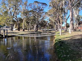Swinging bridge on the Belalie Creek, Jamestown All part of the Diggers' Walk