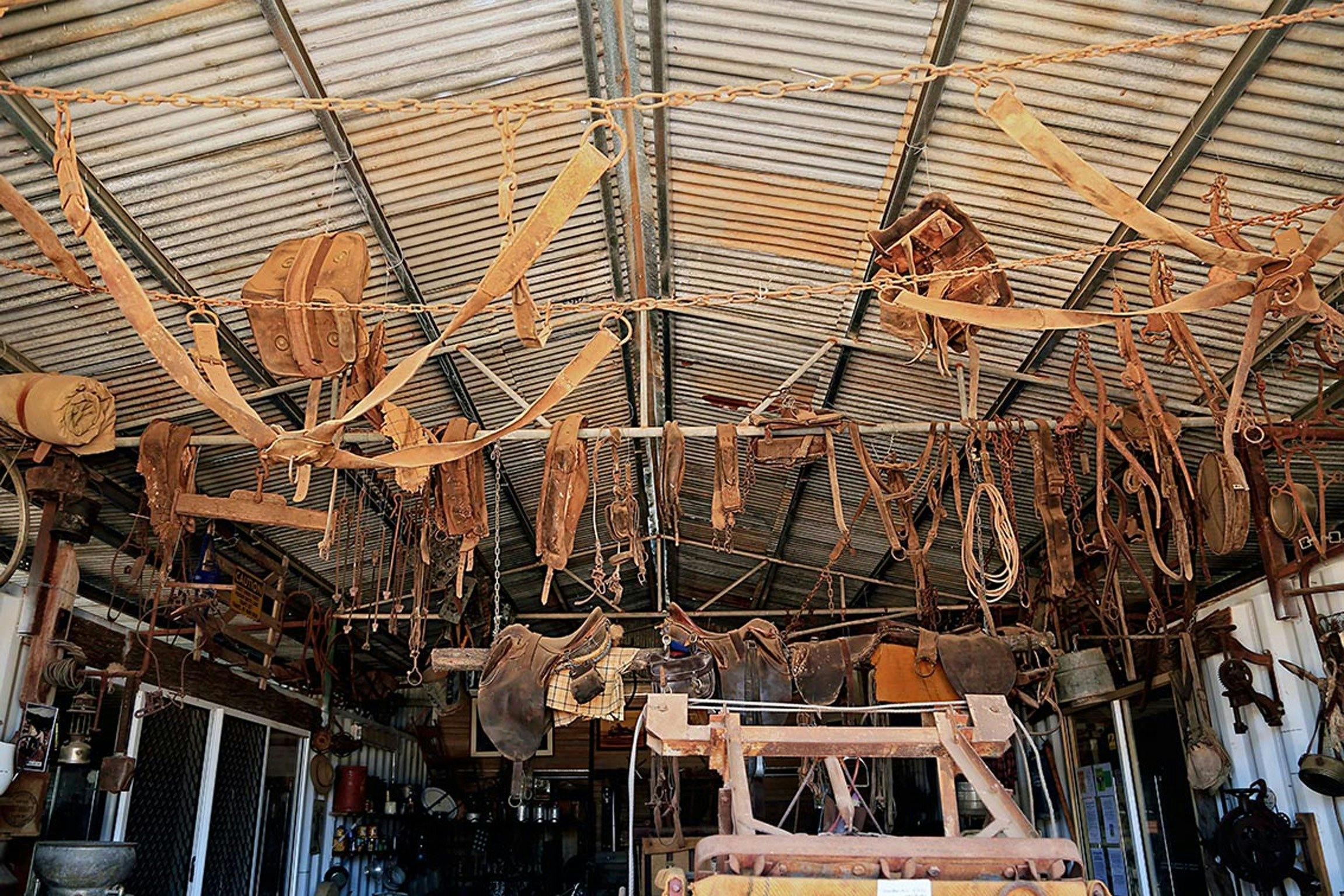 horse riding paraphenalia