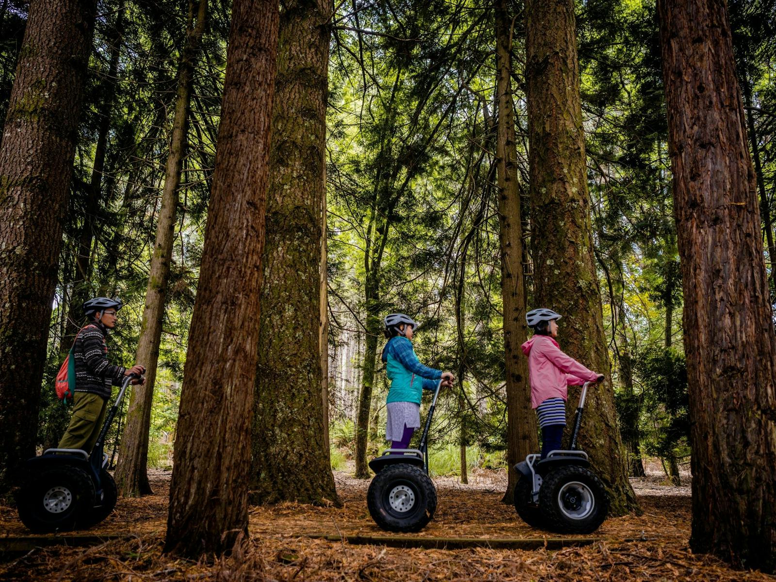 three people riding through the forest on a segways