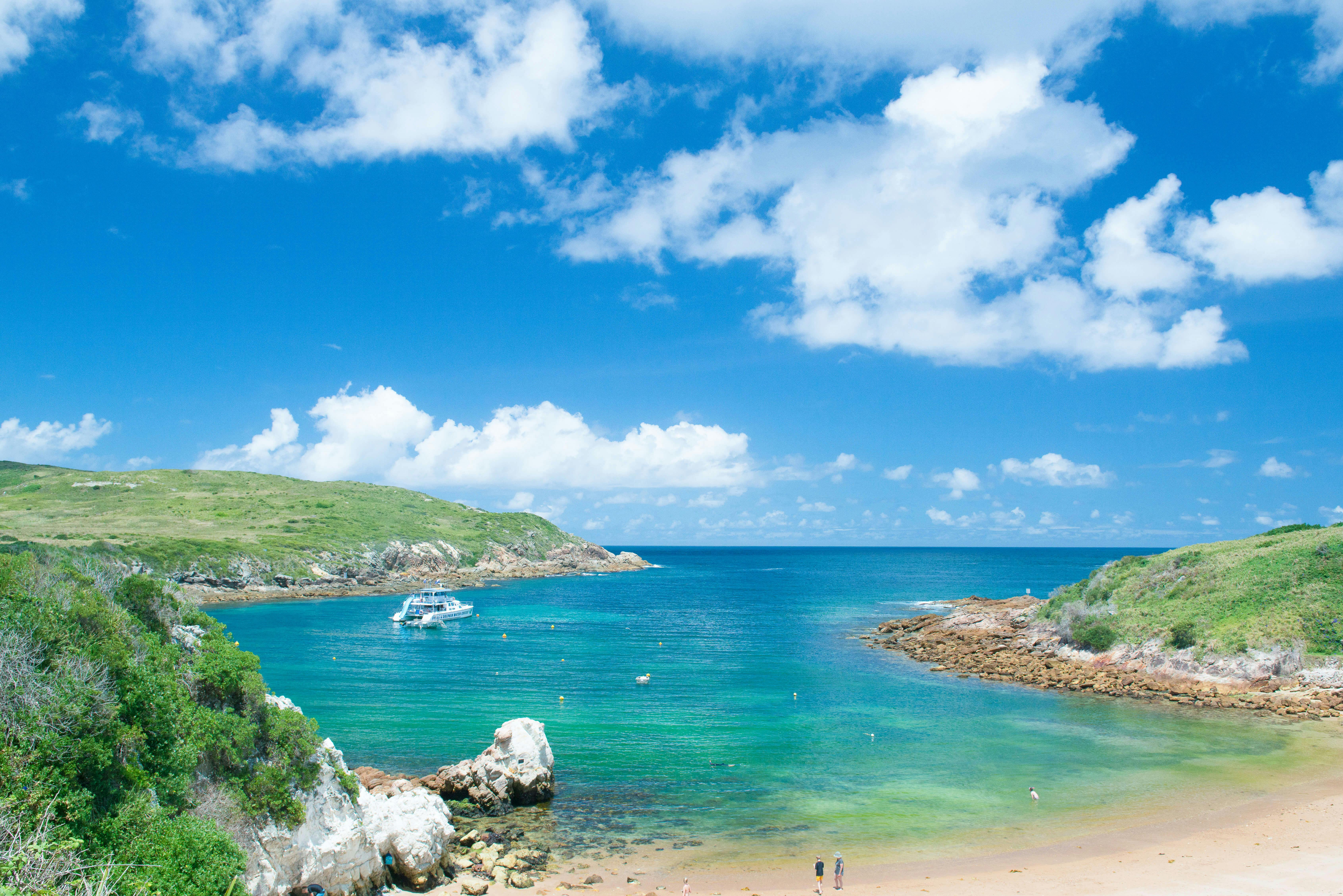 에스마렐다 코브