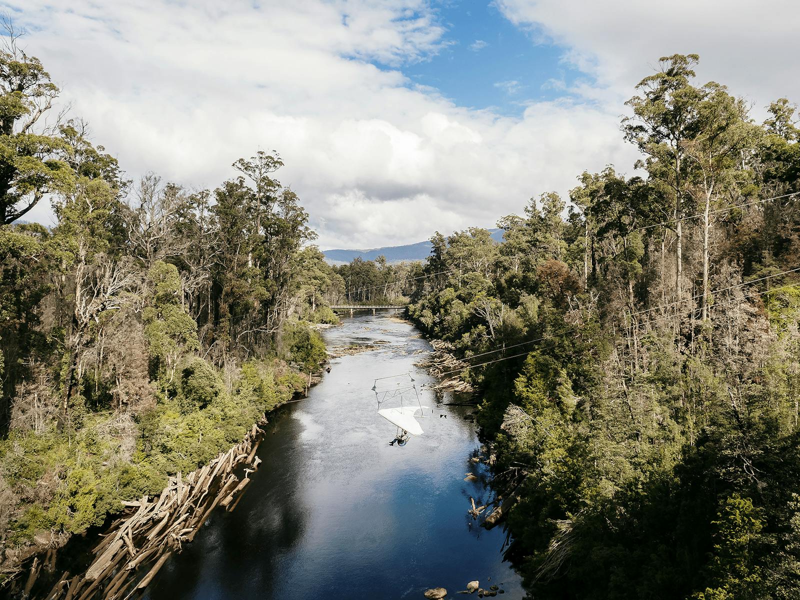Zipline with harness, zooming over the river between tall trees.