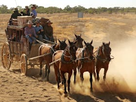 Karrabee Outback Pubs Tours Cobb & Co Coach ride