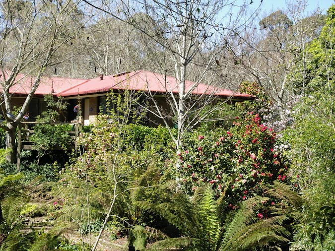 Garden suite