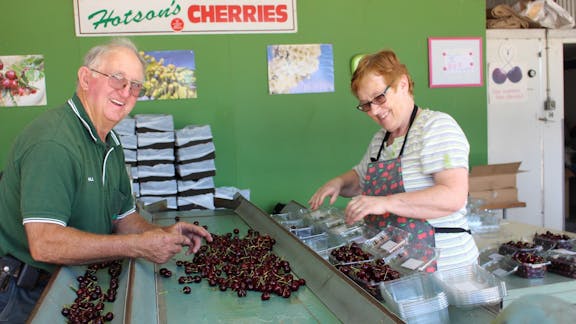 Hotson's Cherries