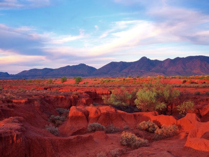 Flinders Ranges Outback 3 Day Small Group Eco Safari