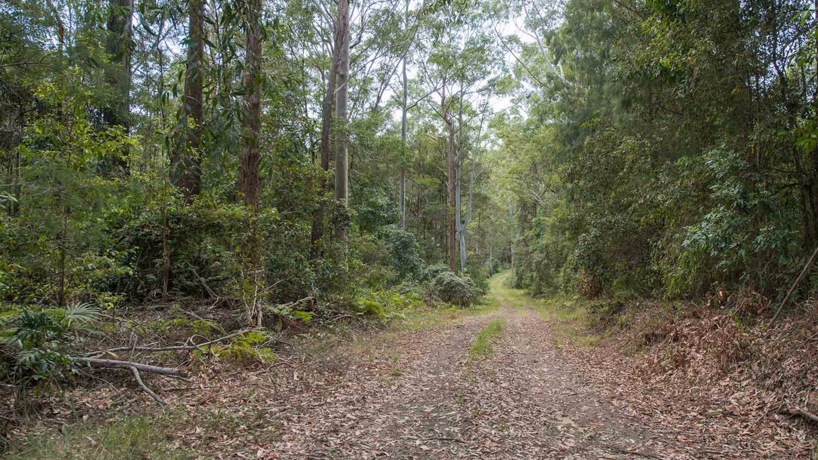 Southern Boundary Trail