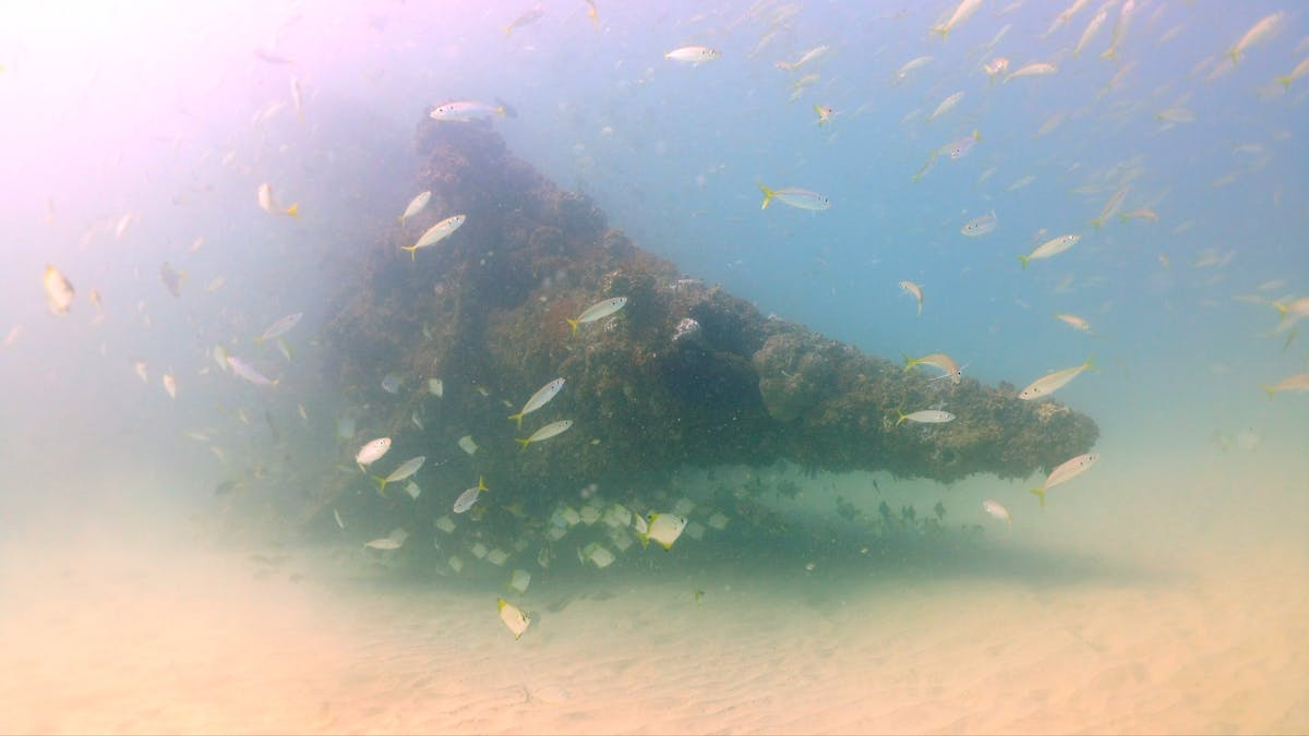 Scottish Prince shipwreck