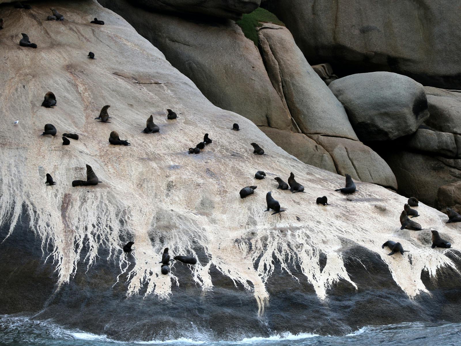 Wildlife Coast Cruises