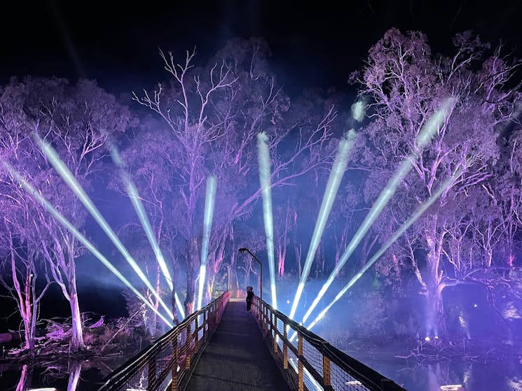 Bridge and trees projection in purple colour and spotlights
