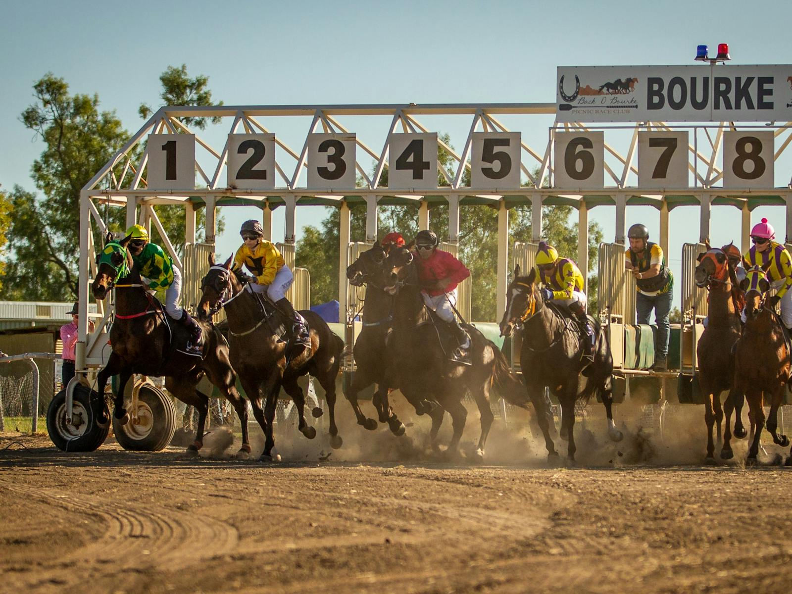 Image for Back O' Bourke Picnic Races