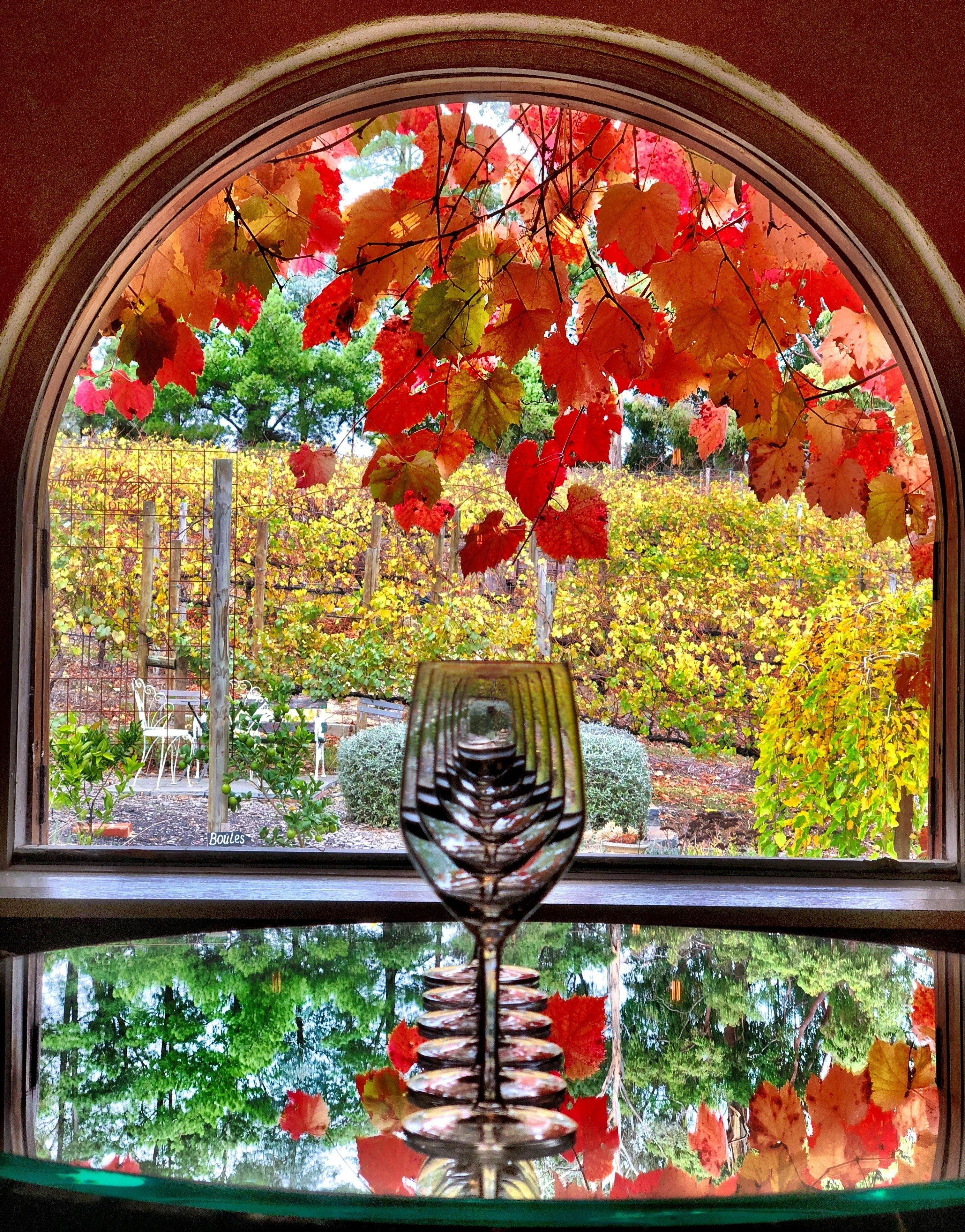 Between the Vines Cellar Door