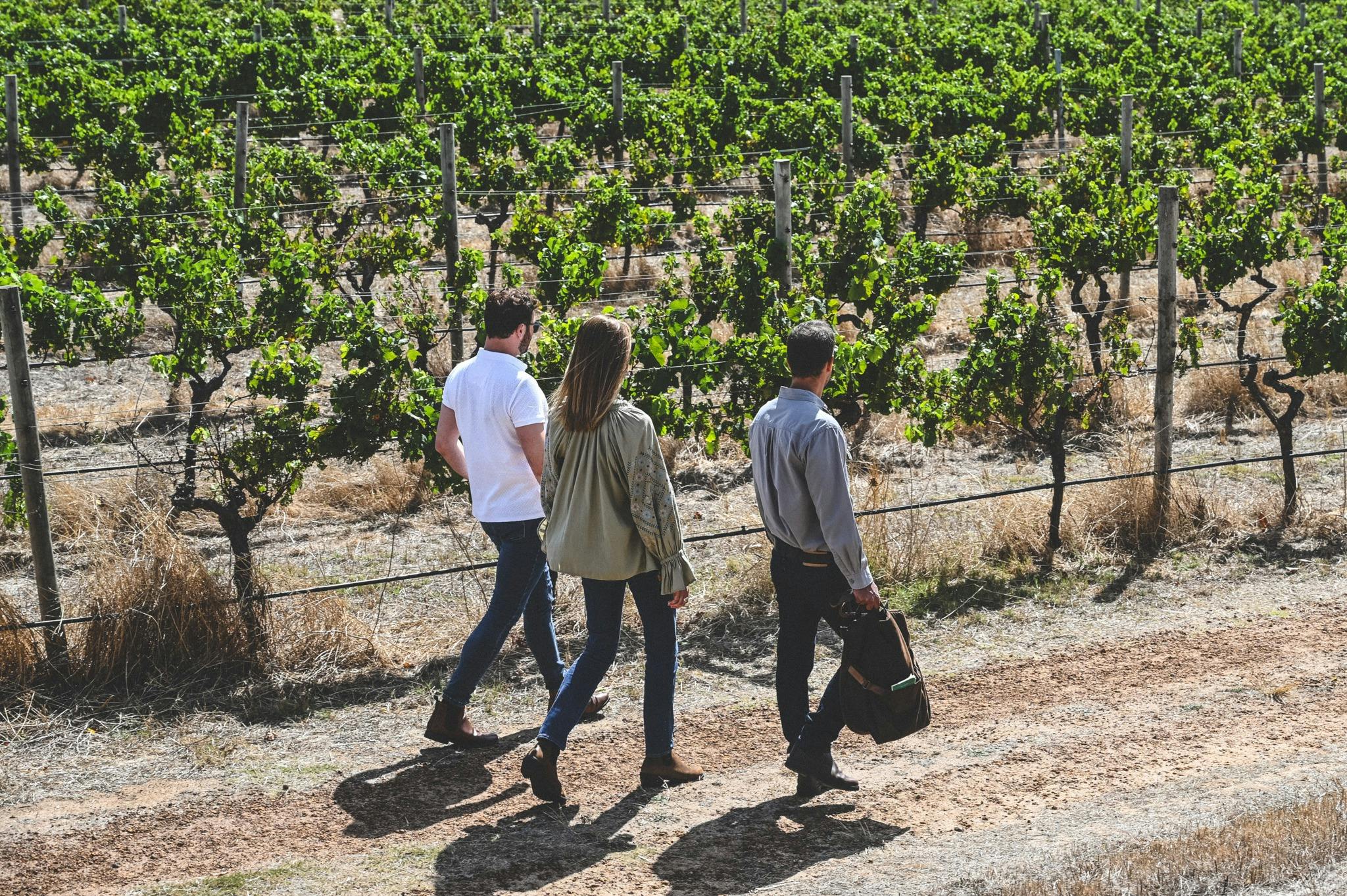 Discover Voyager & Seasonal Lunch