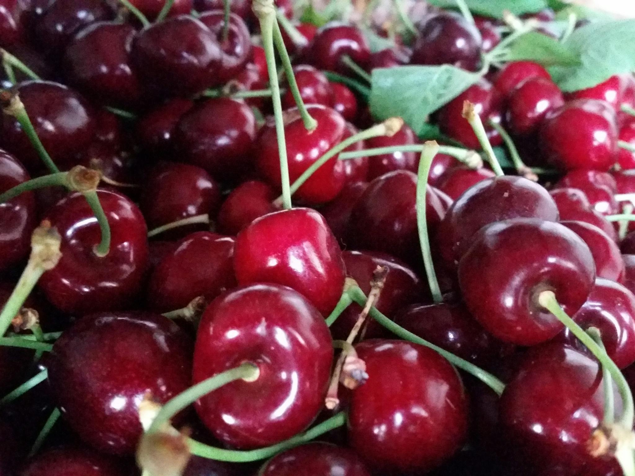 Pick Your Own Berries Cherries Beechworth Stanley North East Victoria