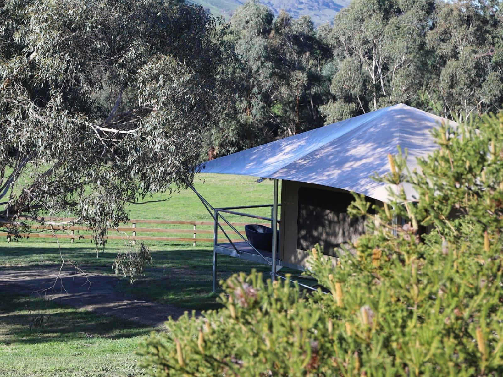 Eco Glamping tent surrounded by  native trees