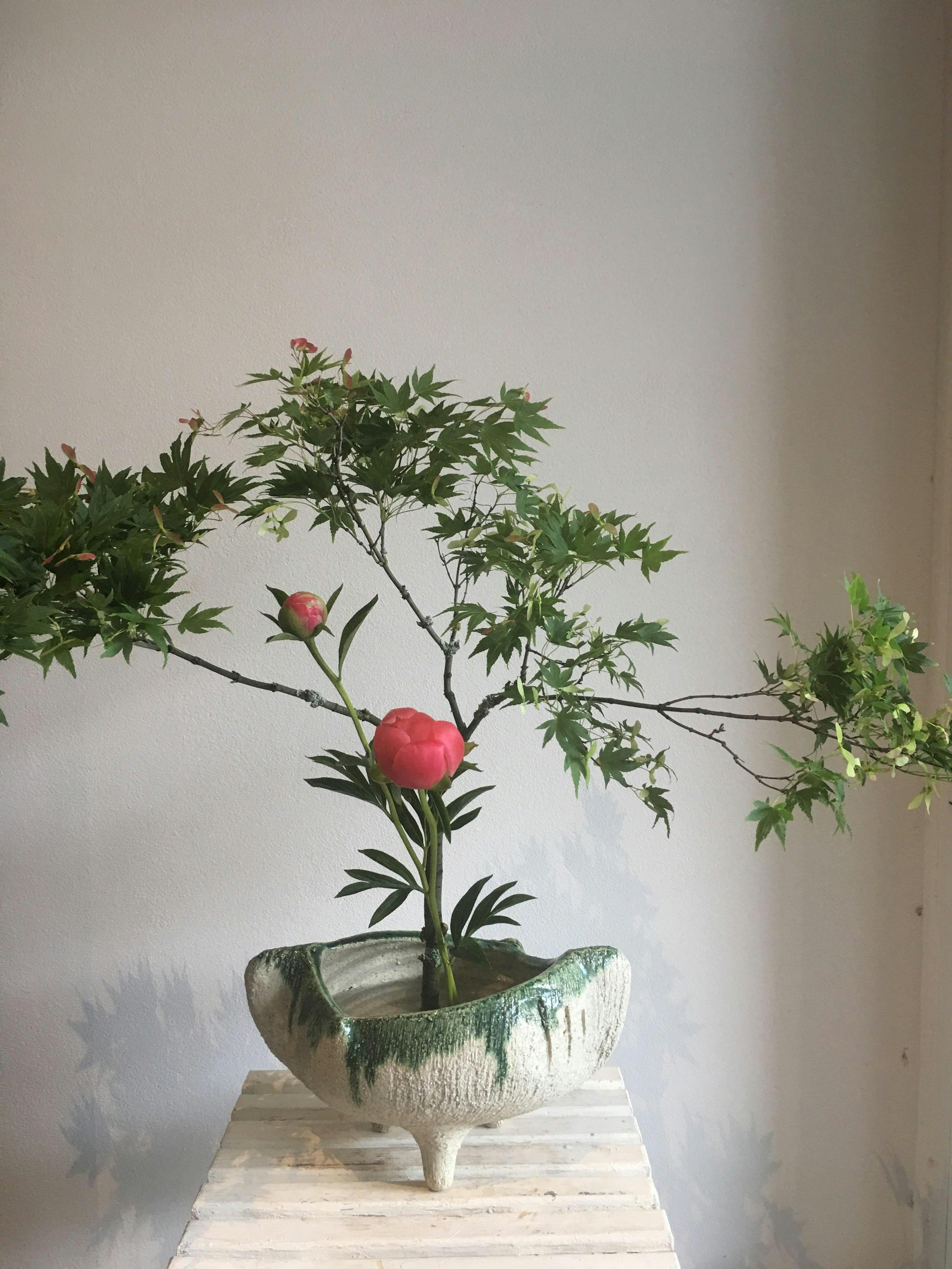 Fun Japanese Flower Arranging Class | Sydney, Australia - Official