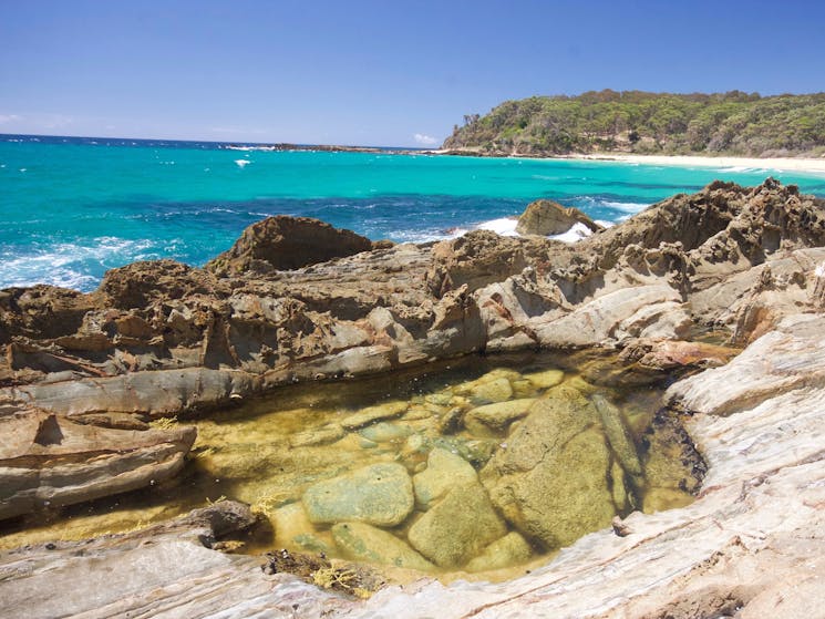 rock pool, Barragga Bay, beach, Sapphire Coast