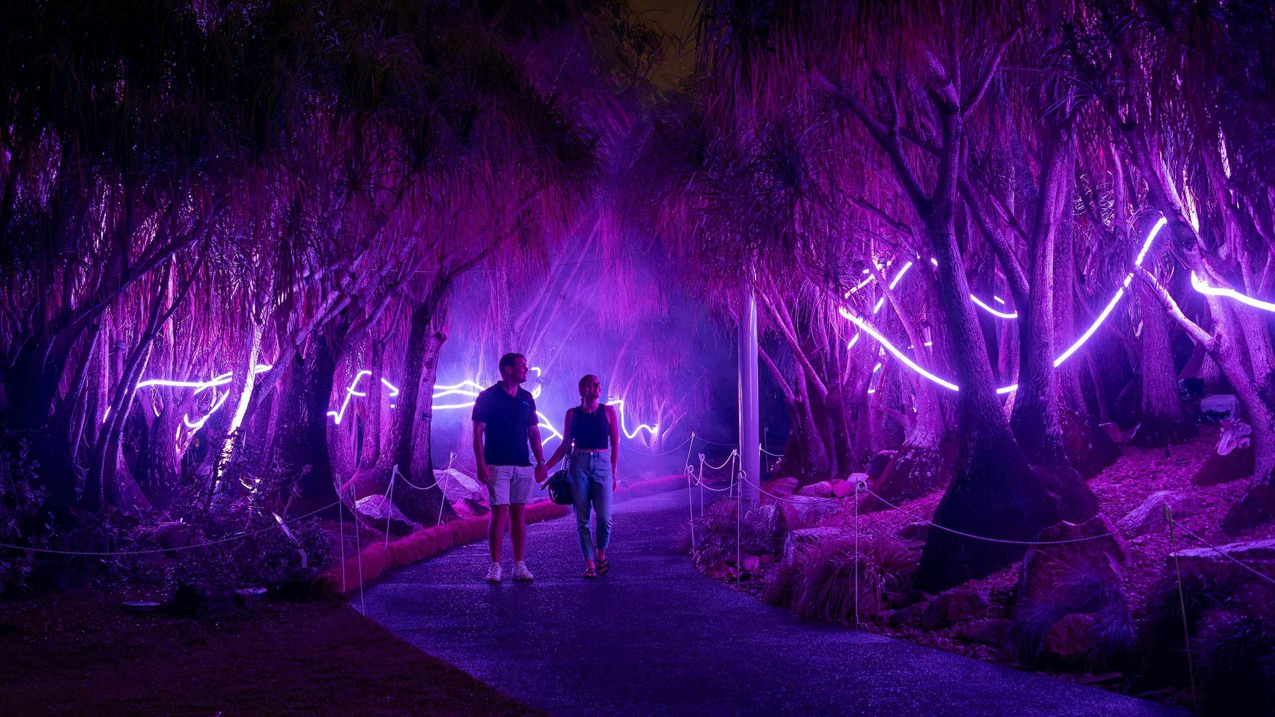 The Enchanted Forest - Tides of Treasure