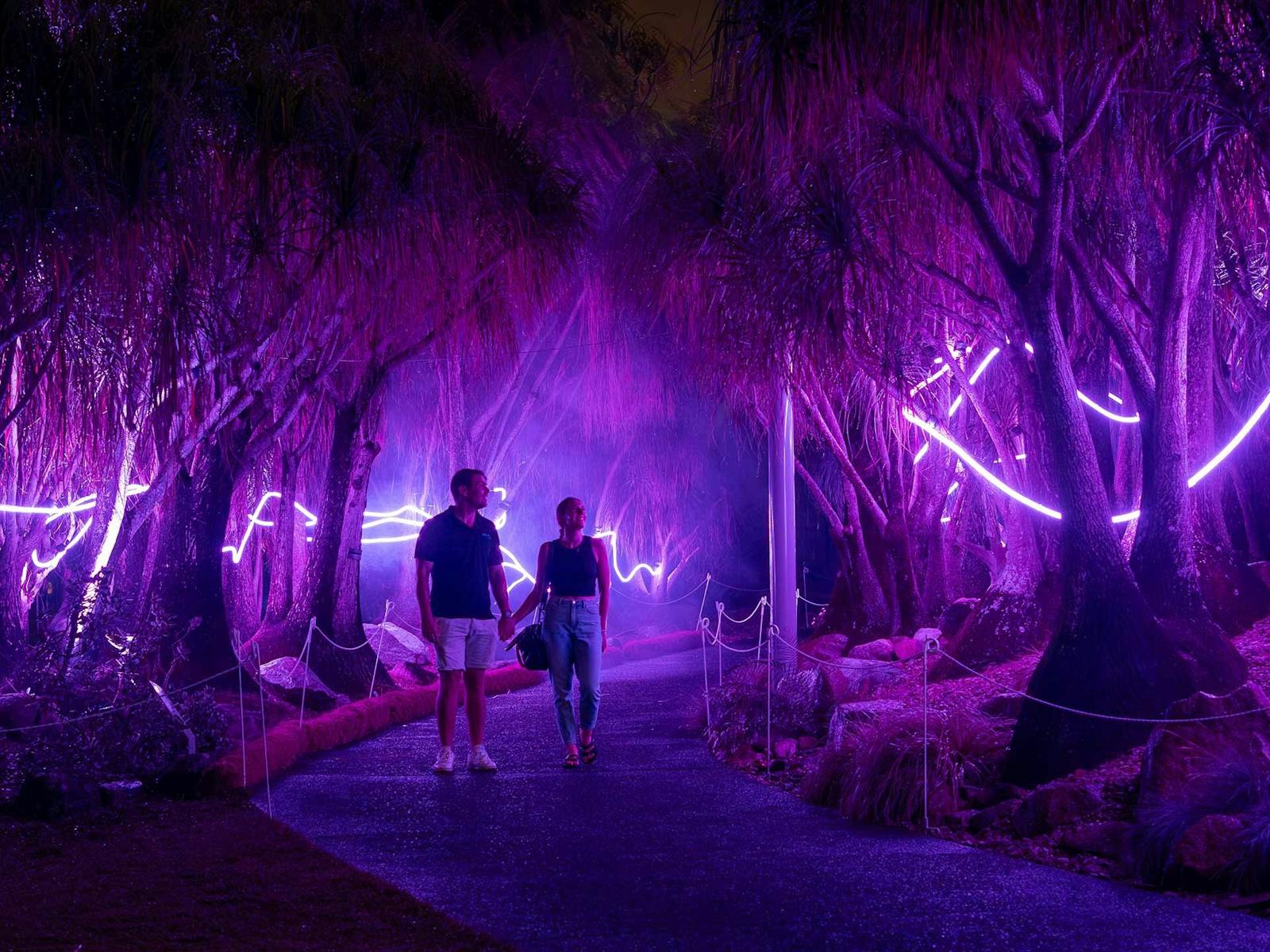 A couple wander through a purple lit path