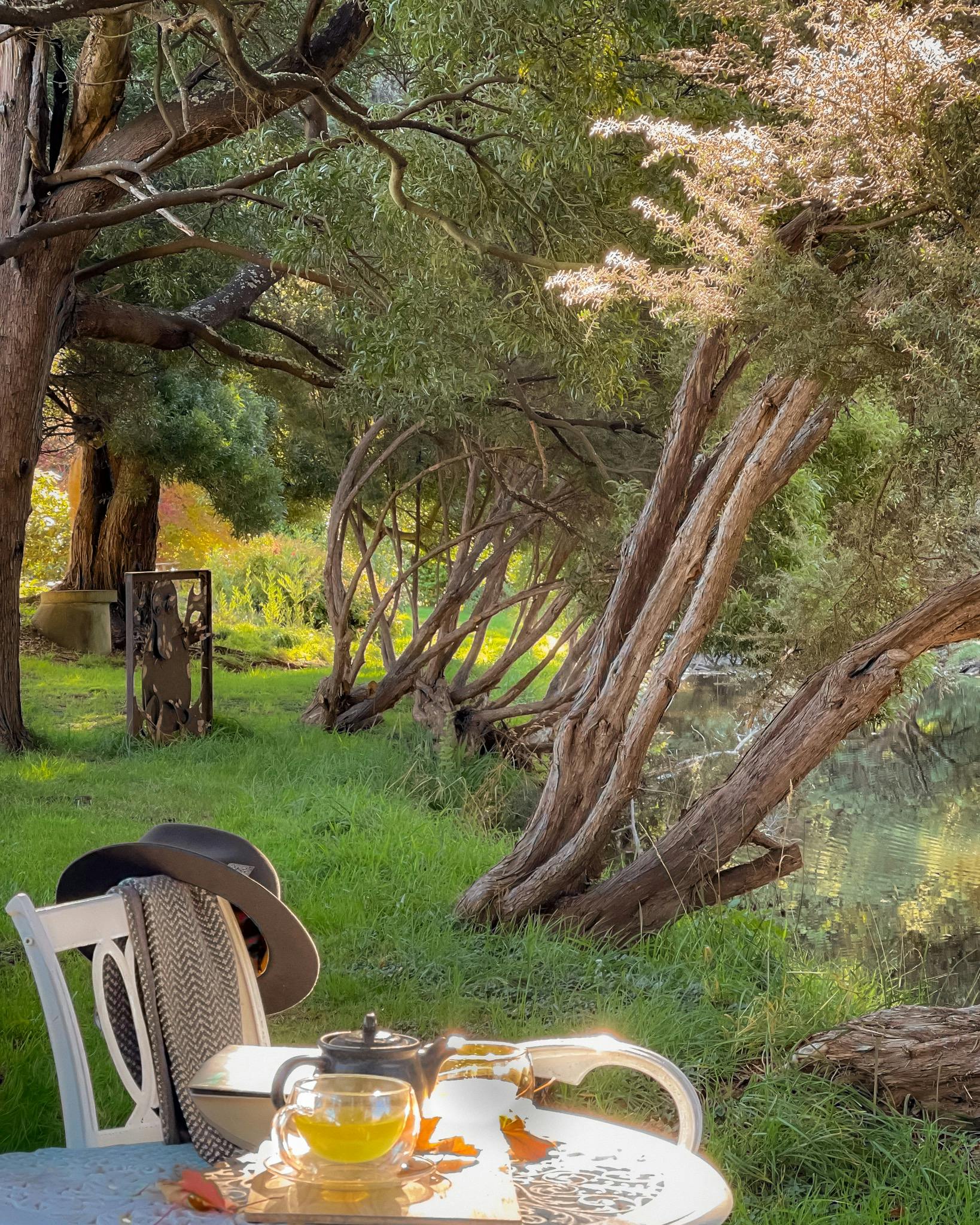 Japanese Afternoon Tea by the river