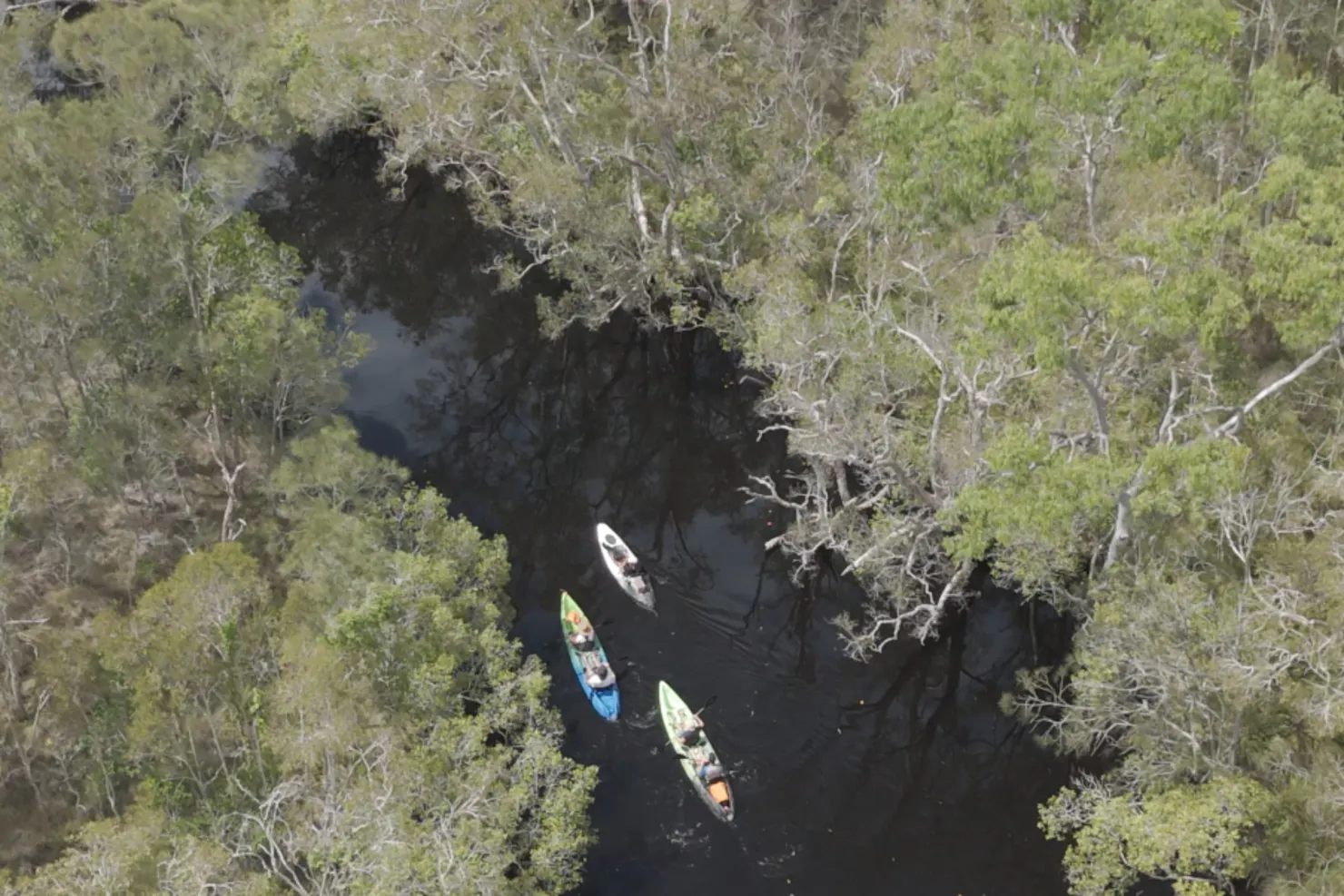 Lake weyba branching waterways reflective mirrored river southern Noosa everglades system