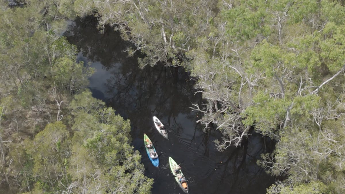 Lake weyba branching waterways reflective mirrored river southern Noosa everglades system