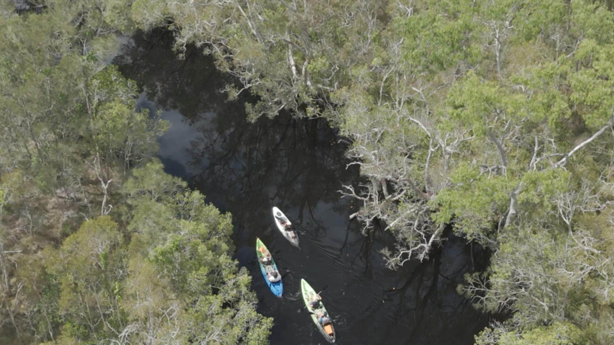Lake weyba branching waterways reflective mirrored river southern Noosa everglades system Lake weyba branching waterways reflective mirrored river southern Noosa everglades system