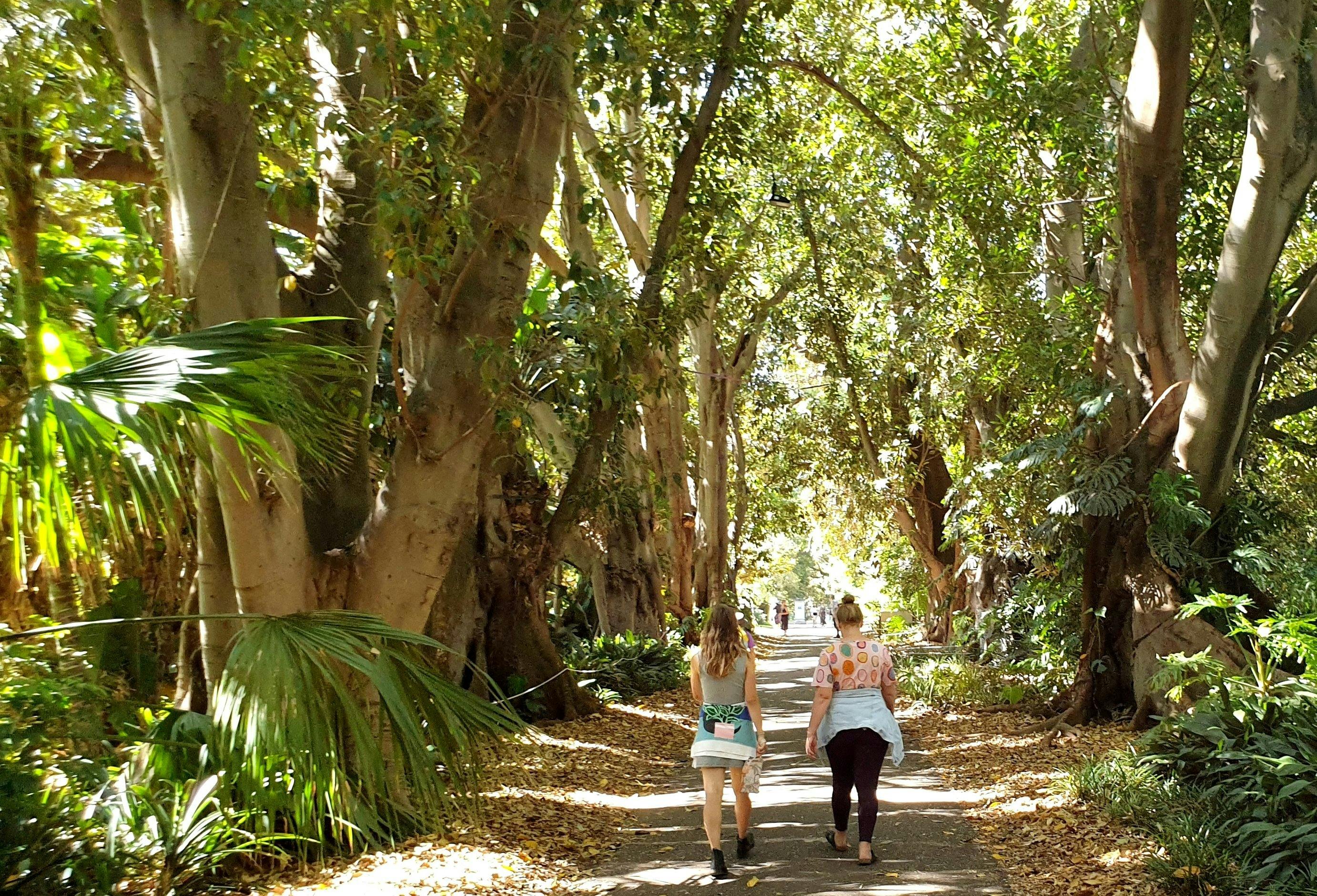 Guided Walk thru Park 11, including Botanic Park & the Botanic Garden