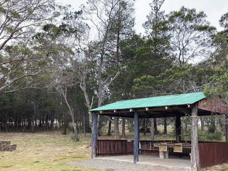 Bicheno Pine Ridge