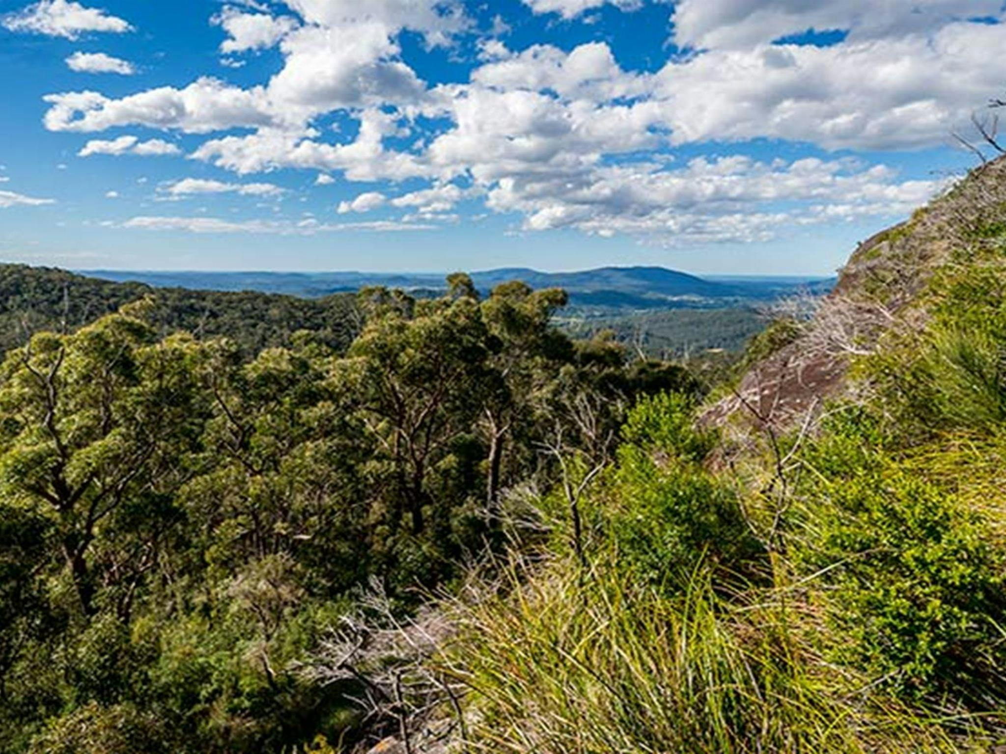 Big Nellie lookout and picnic area, Coorabakh National Park. Photo: John Spencer