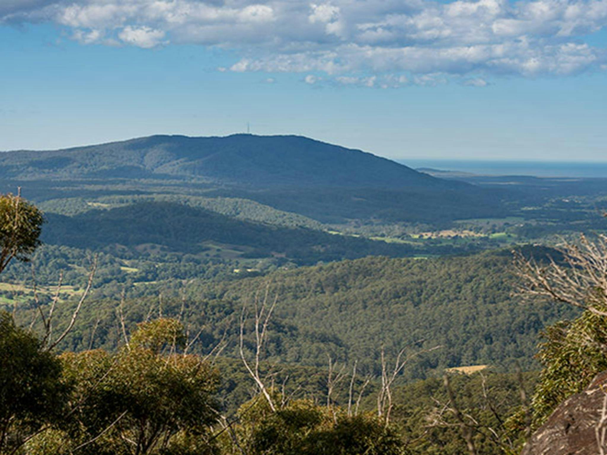 Big Nellie lookout and picnic area, Coorabakh National Park. Photo: John Spencer