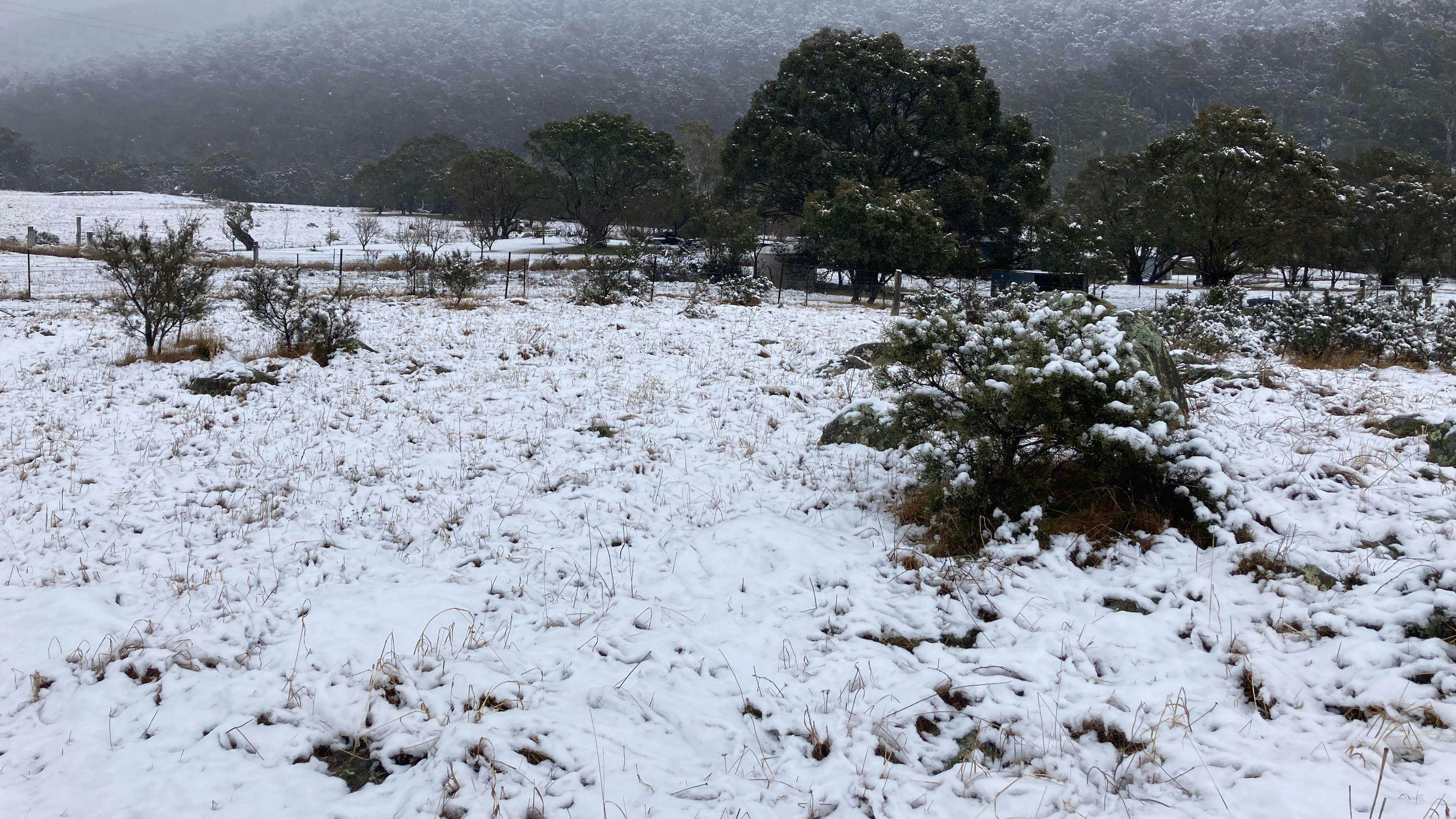 빅야드 힙캠프는 ...
