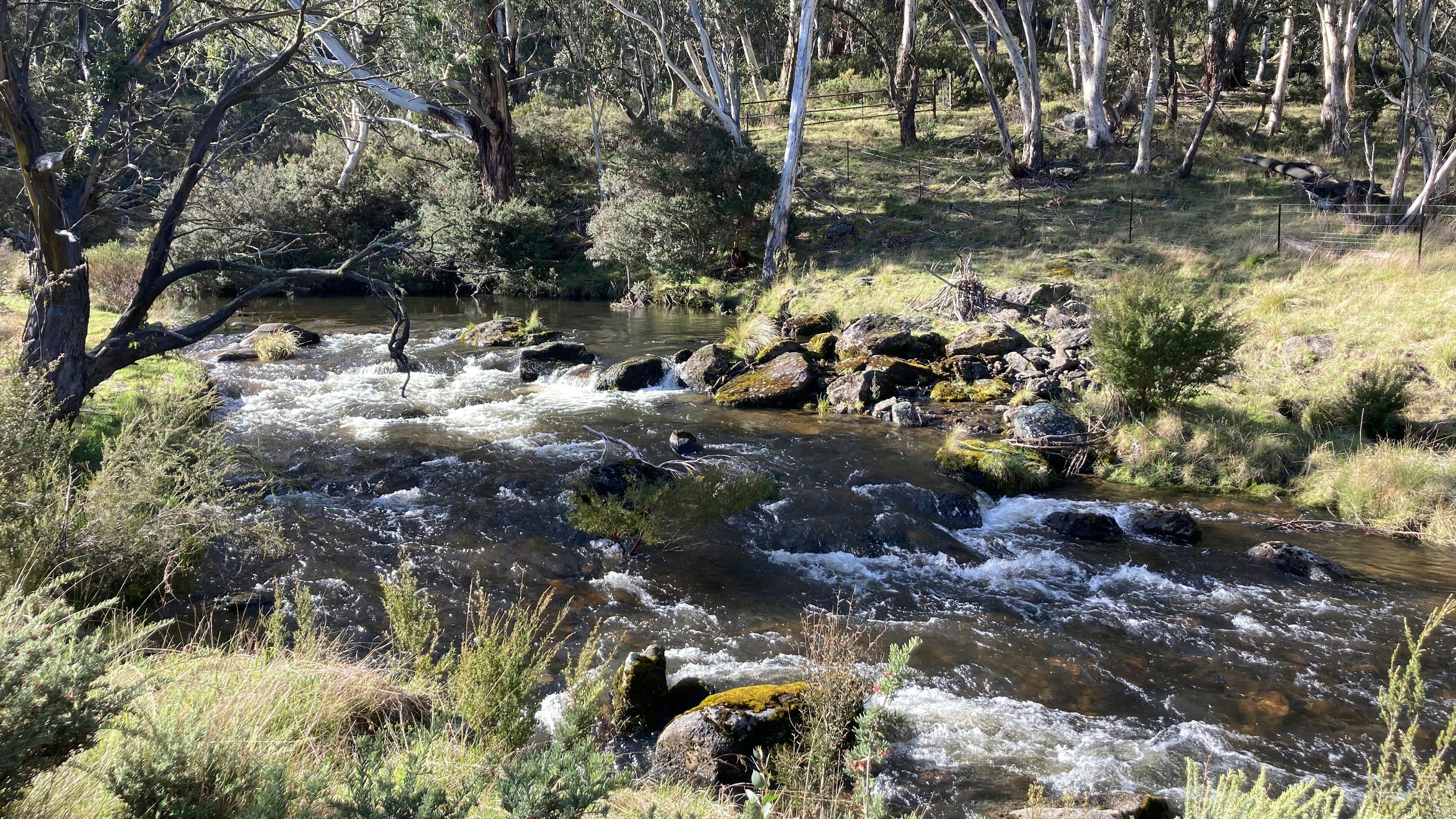 빅야드 힙캠프는 ...