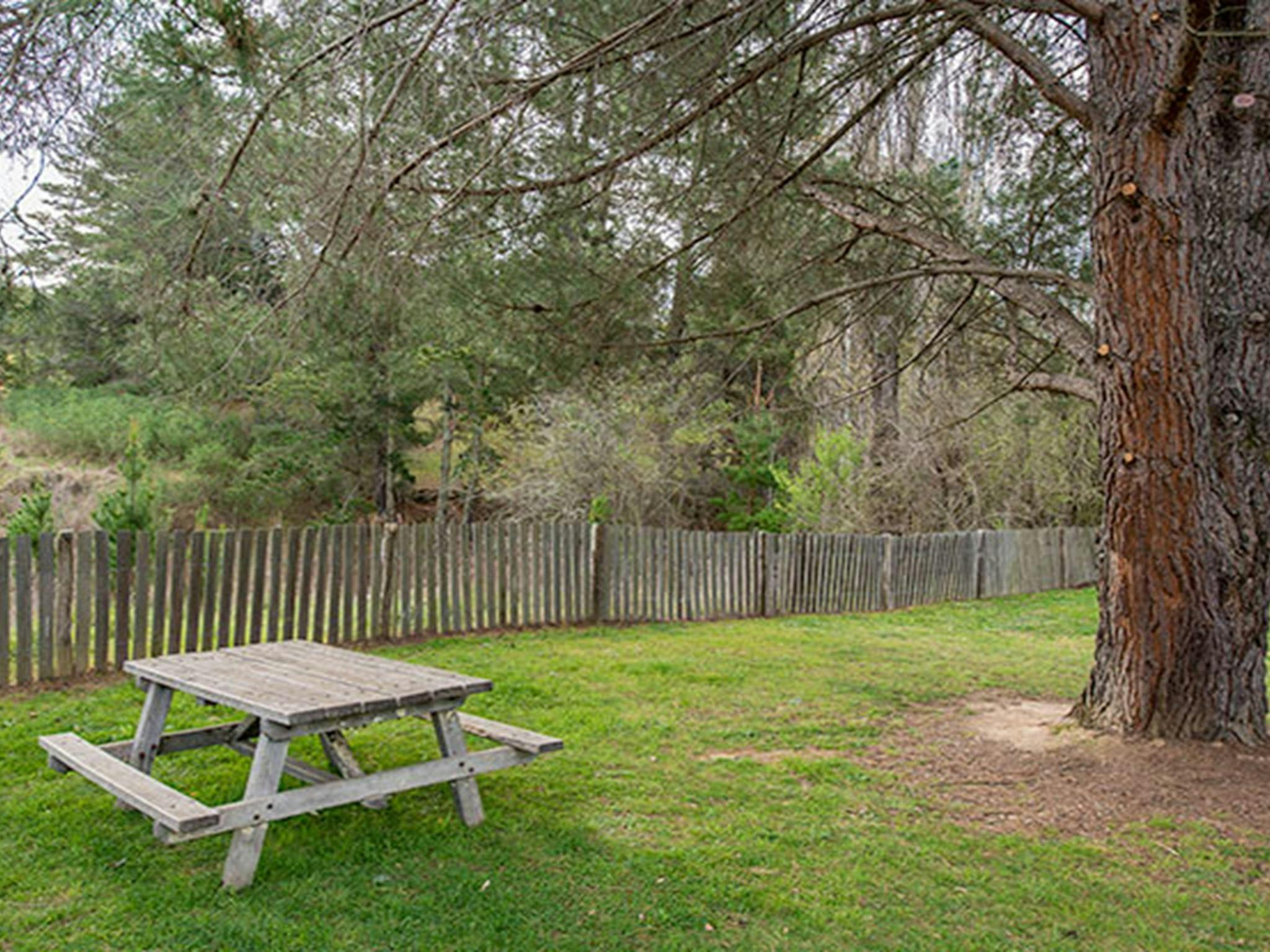 Picknickplatz im Bill Lyles Reserve, historische Stätte Hill End. Foto: John Spencer