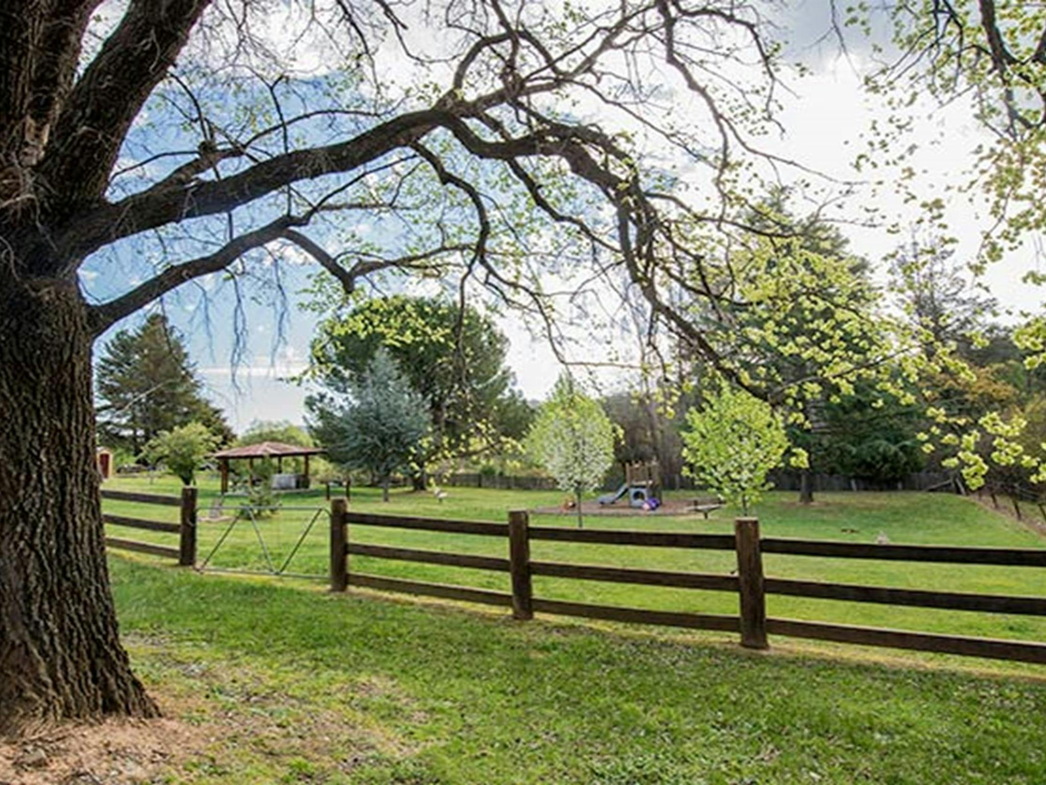 Picknickplatz im Bill Lyles Reserve, historische Stätte Hill End. Foto: John Spencer